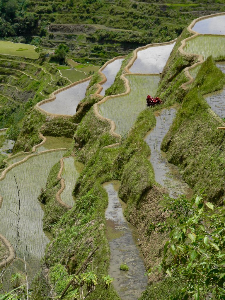 Banaue rice terraces Philippines