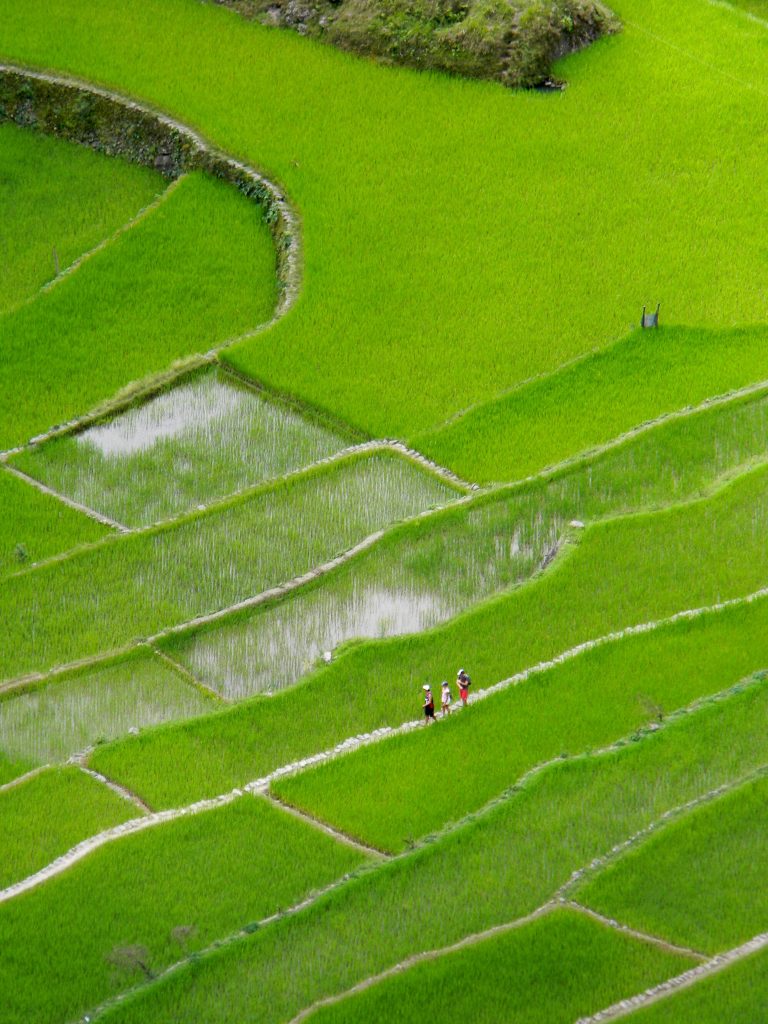 Batad rice terraces Philippines
