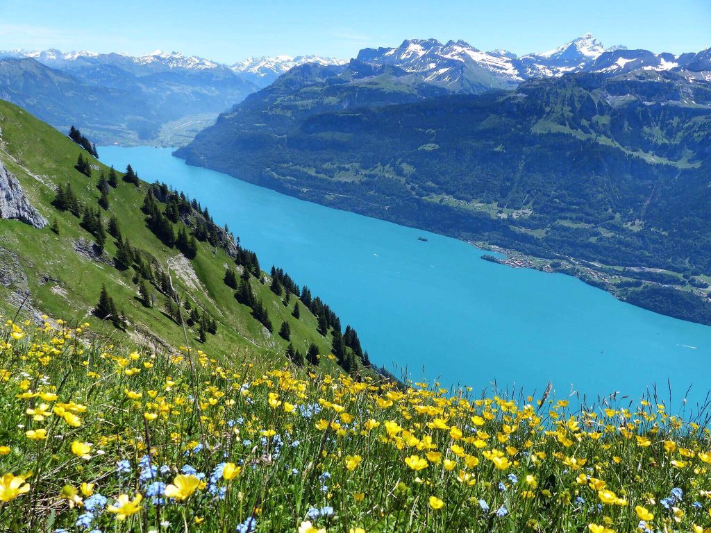 Augstmatthorn Hiking Lake Brienz Switzerland
