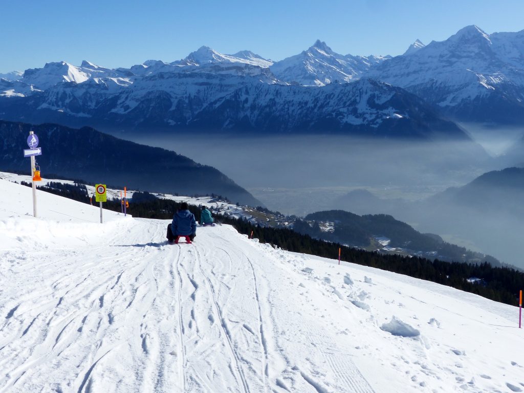 Niederhorn sledging Switzerland