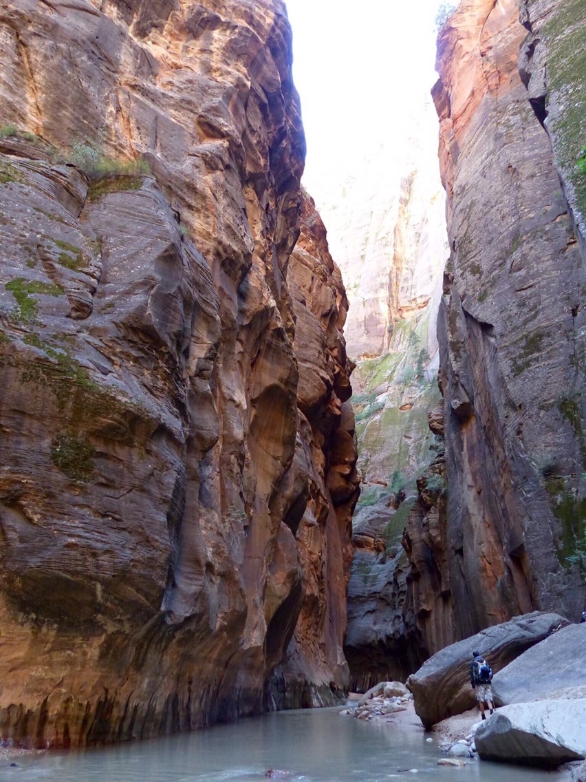 Hike the Narrows Zion National park