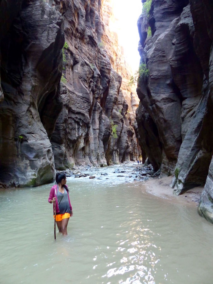 Hike the narrows Zion national park