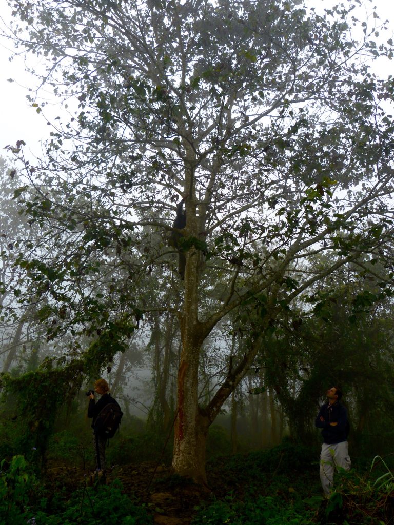 Hiking Chitwan national park Nepal