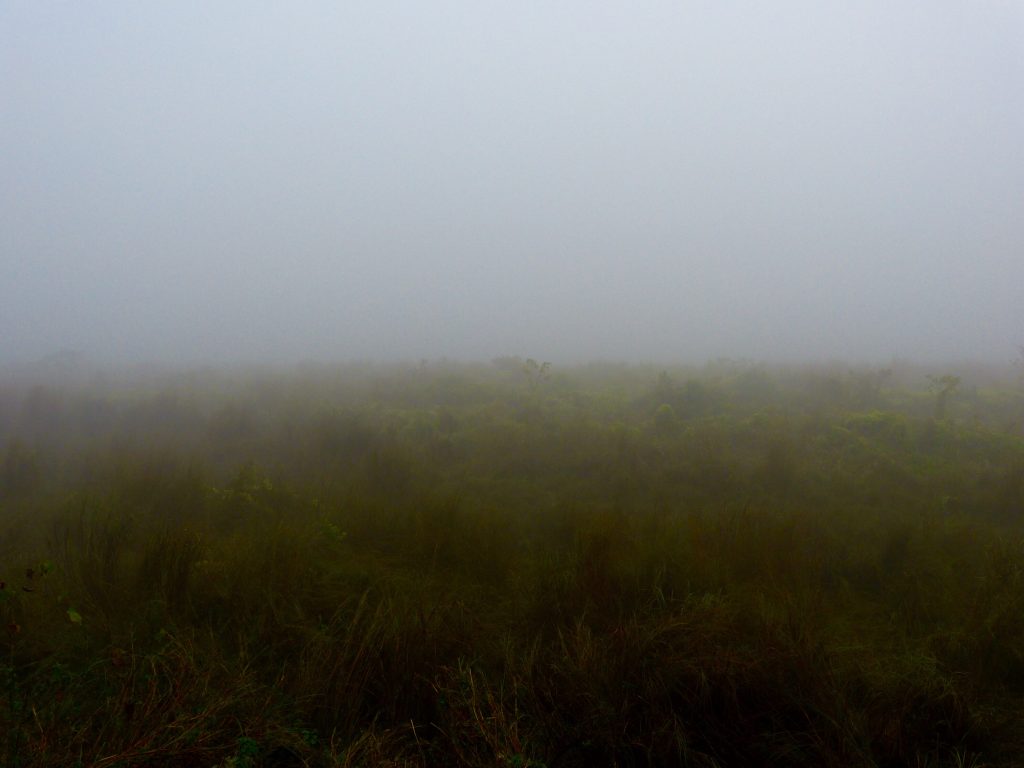 Hiking Chitwan National park Nepal