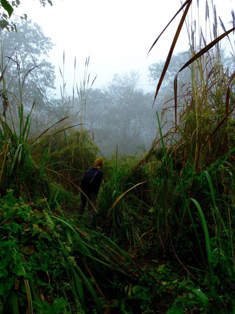 Hiking Chitwan National Park Nepal