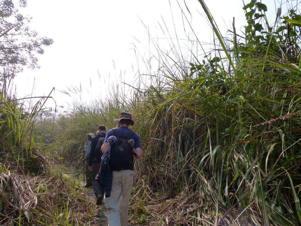 Hiking chitwan national park nepal familyearthtrek