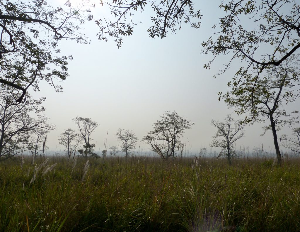 Hiking chitawan national park nepal