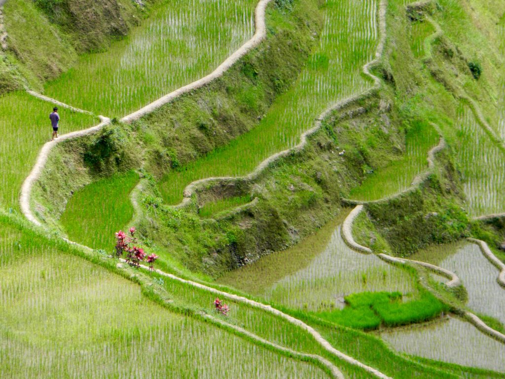 Banaue rice terraces Philippines