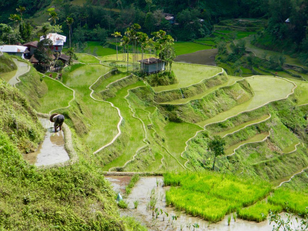 Banaue rice terraces Philippines