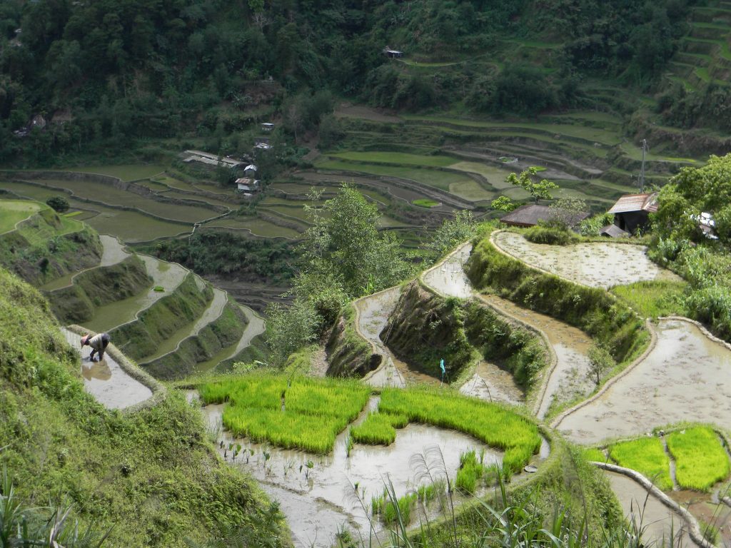 Banue rice terraces Philippines