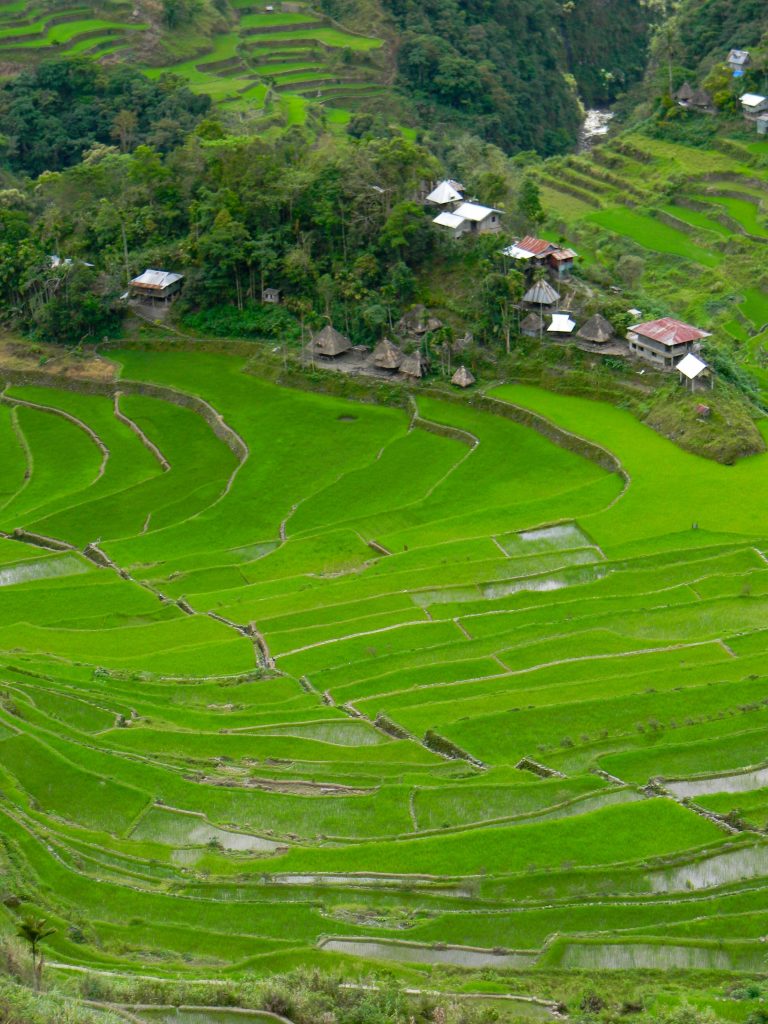 Batad rice terraces Philippines