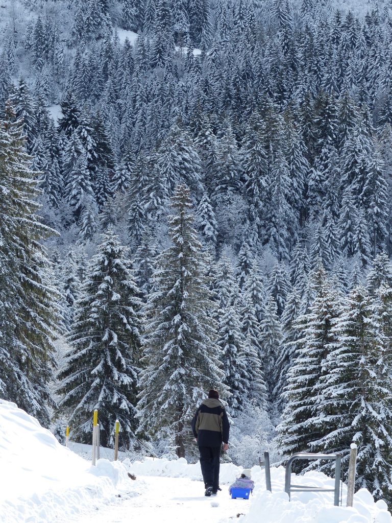 Schwarzsee winter wonderland Switzerland