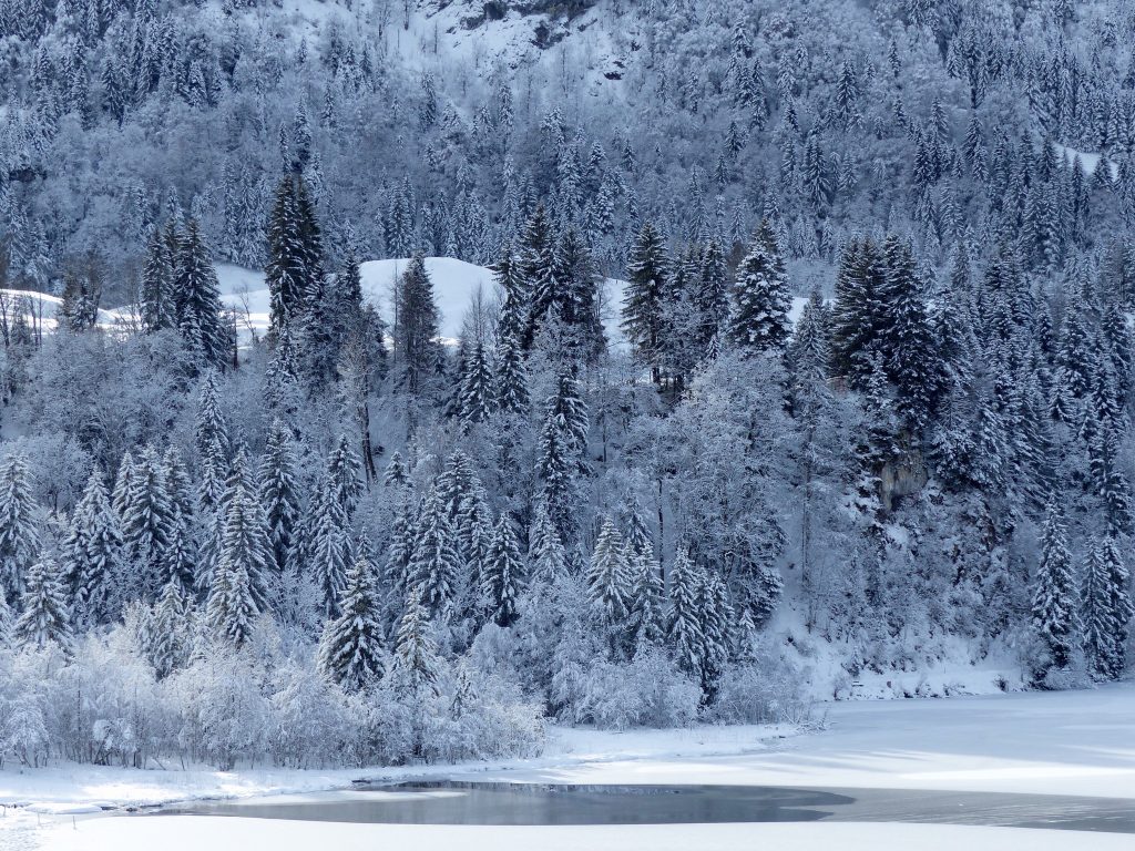 Schwarzsee winter wonderland Switzerland