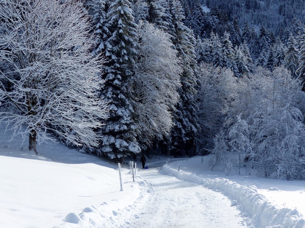 Schwarzsee winter wonderland Switzerland Hiking with kids