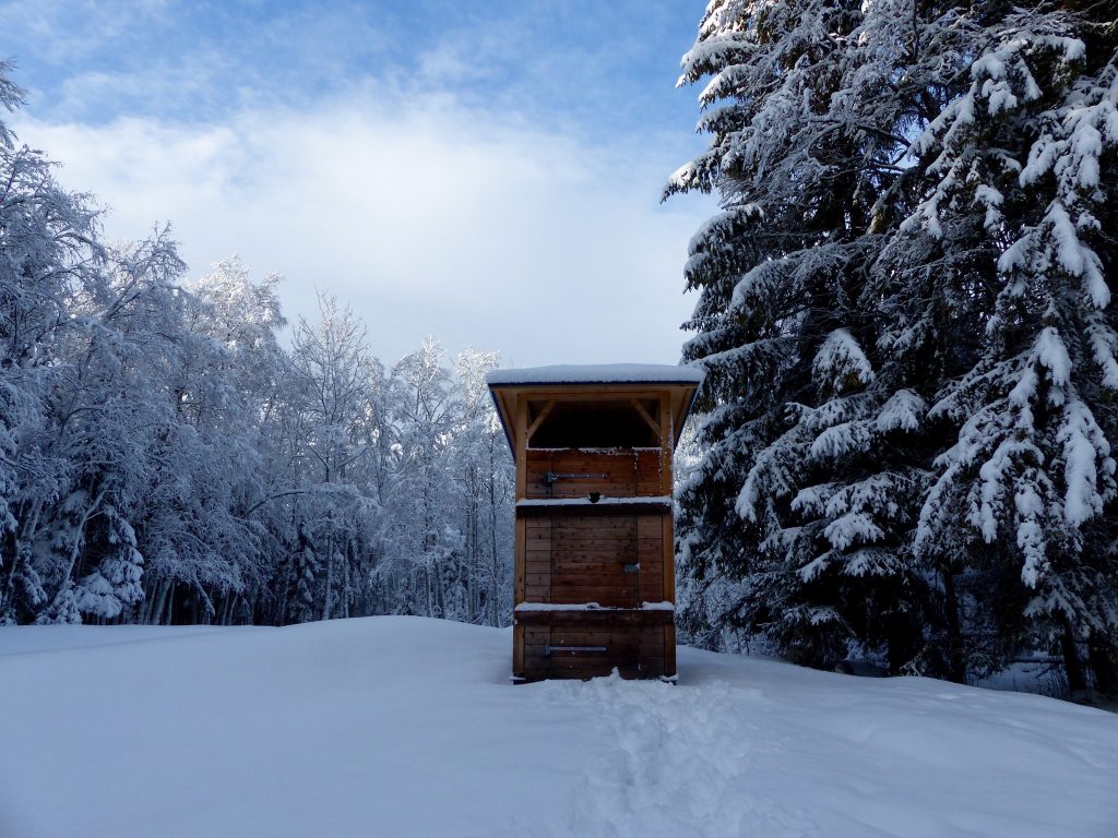 Schwarzsee winter wonderland Switzerland 