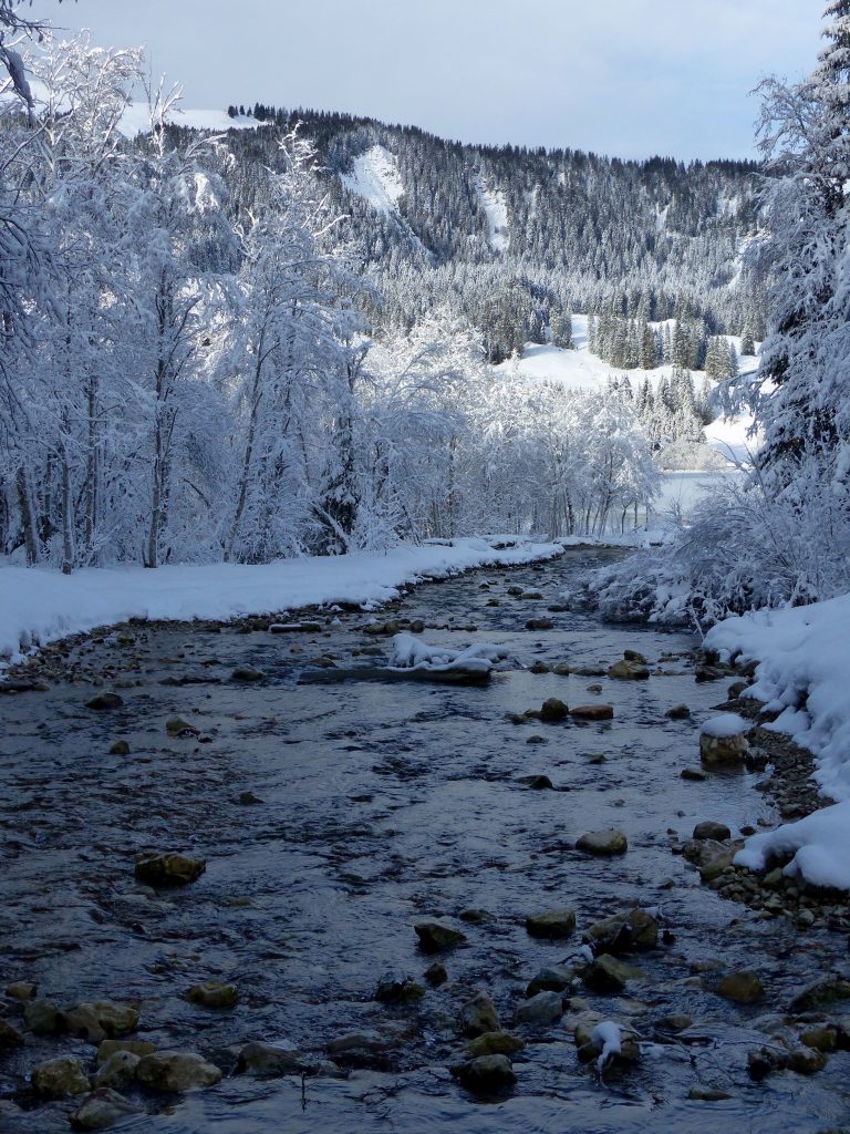 Schwarzsee winter wonderland Switzerland