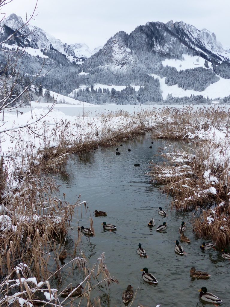 Schwarzsee winter wonderland Switzerland