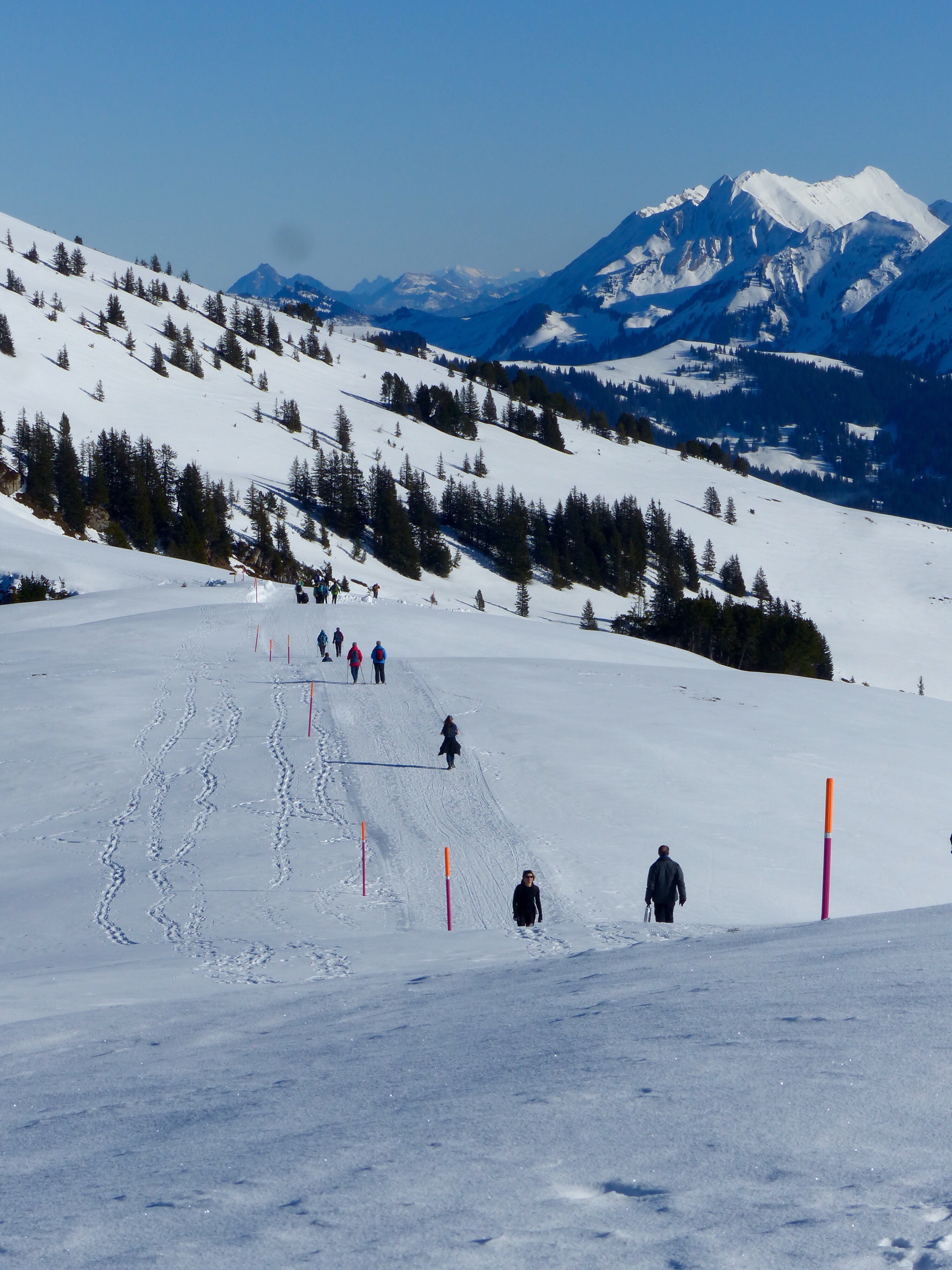 Winter walk Niederhorn Switzerland