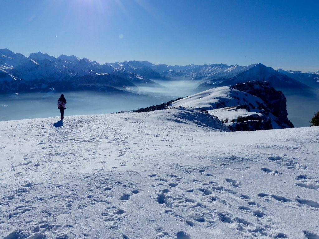 Winter walk Niederhorn Burgerfeldstand Switzerland