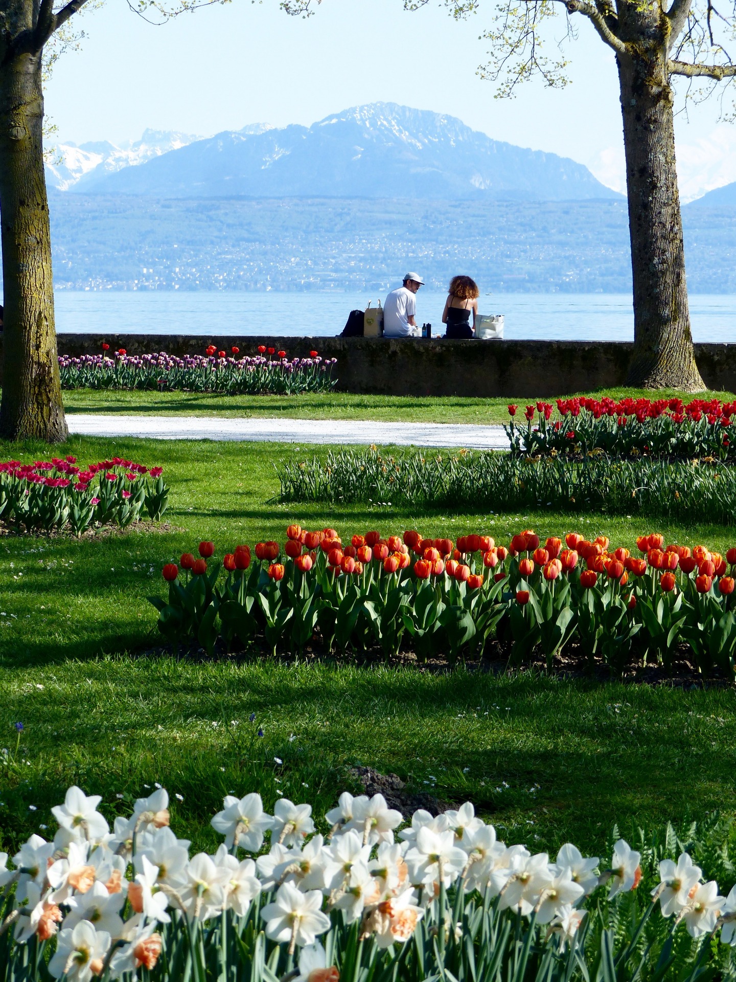 Spring hikes in Switzerland, flower blossom in Switzerland, Hiking with kids in Switzerland