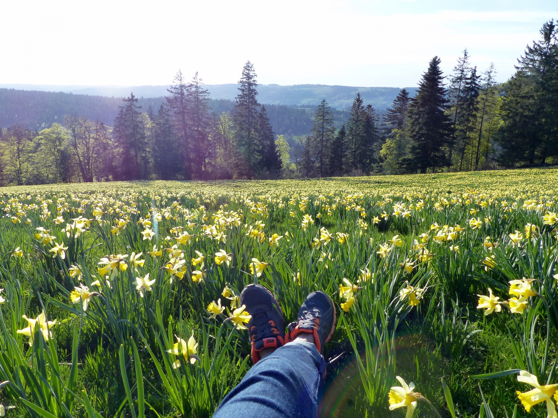 Spring flowers in Switzerland, spring hikes in switzerland, childfriendly spring hikes in switzerland